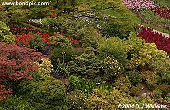 The beautiful Butchart Gardens in Victoria, BC