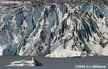 Mendenhall Glacier, near Juneau Alaska