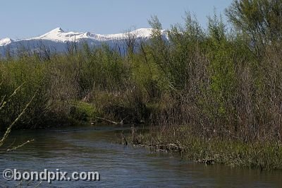 Mount Powell from Warm Springs Ponds, Montana