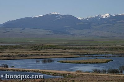 Mountain view from Warm Springs Ponds, Montana