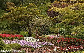 The beautiful Butchart Gardens in Victoria, BC