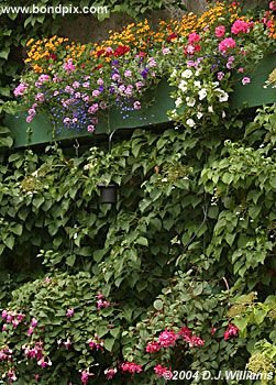 The beautiful Butchart Gardens in Victoria, BC