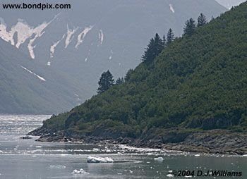 Landscape in Alaska