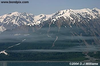 Tongass National rainforest in Alaska