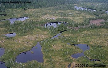 Aerial view of the landscape near Ketchikan Alaska