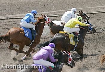 Horse Racing at the Western Montana Fair in Missoula, Montana