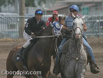 Horse Racing at the Western Montana Fair in Missoula, Montana