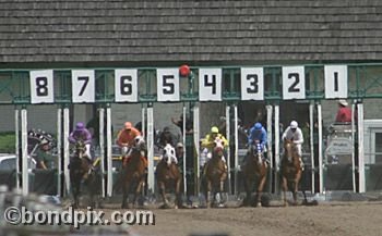 Horse Racing at the Western Montana Fair in Missoula, Montana