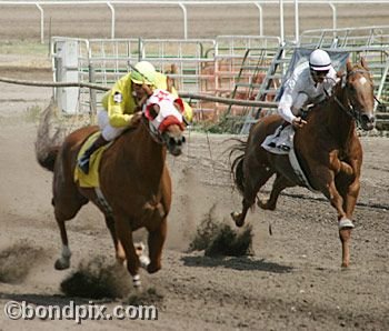 Horse Racing at the Western Montana Fair in Missoula, Montana