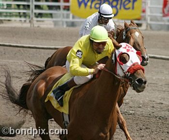 Horse Racing at the Western Montana Fair in Missoula, Montana