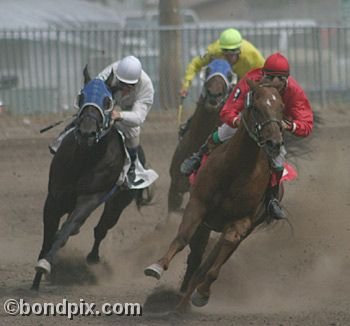 Horse Racing at the Western Montana Fair in Missoula, Montana