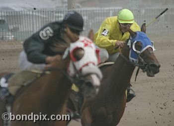 Horse Racing at the Western Montana Fair in Missoula, Montana