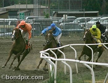 Horse Racing at the Western Montana Fair in Missoula, Montana