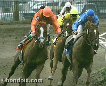 Horse Racing at the Western Montana Fair in Missoula, Montana