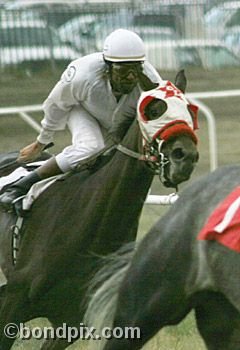 Horse Racing at the Western Montana Fair in Missoula, Montana