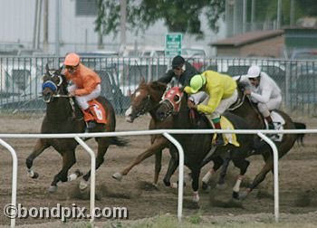 Horse Racing at the Western Montana Fair in Missoula, Montana