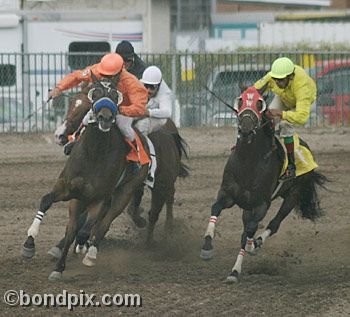 Horse Racing at the Western Montana Fair in Missoula, Montana