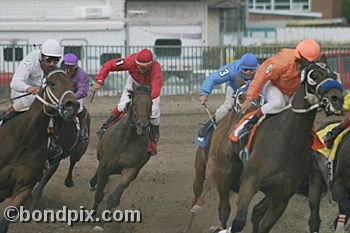 Horse Racing at the Western Montana Fair in Missoula, Montana