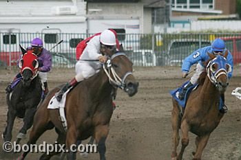 Horse Racing at the Western Montana Fair in Missoula, Montana