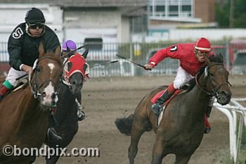 Horse Racing at the Western Montana Fair in Missoula, Montana