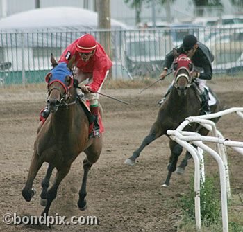 Horse Racing at the Western Montana Fair in Missoula, Montana