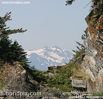 Landscape in Alaska