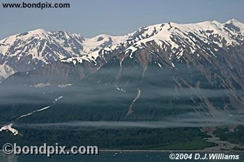 Tongass National rainforest in Alaska