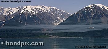 Tongass National rainforest in Alaska