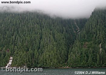 Landscape in the Misty Fjords in Alaska