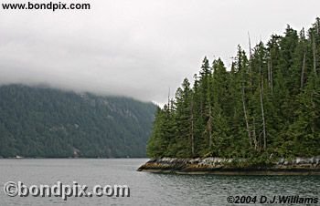 Landscape in the Misty Fjords in Alaska