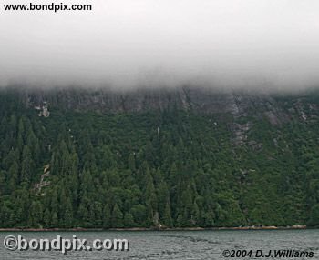 Landscape in the Misty Fjords in Alaska