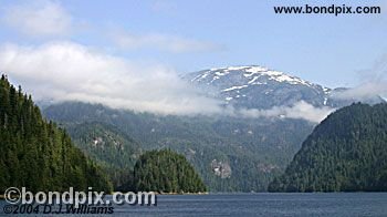 Landscape in the Misty Fjords in Alaska