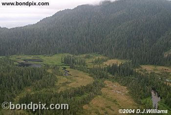 Aerial view of the landscape near Ketchikan Alaska