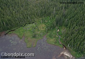 Aerial view of the landscape near Ketchikan Alaska