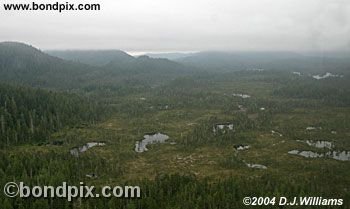Aerial view of the landscape near Ketchikan Alaska