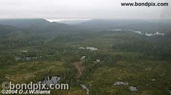 Aerial view of the landscape near Ketchikan Alaska