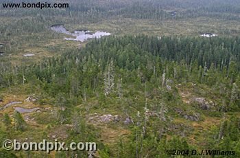 Aerial view of the landscape near Ketchikan Alaska