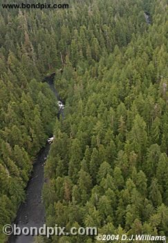 Aerial view of the landscape near Ketchikan Alaska