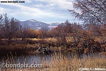 An Autumnal view of Mount Powell from the Clark Fork River in Deer Lodge Montana