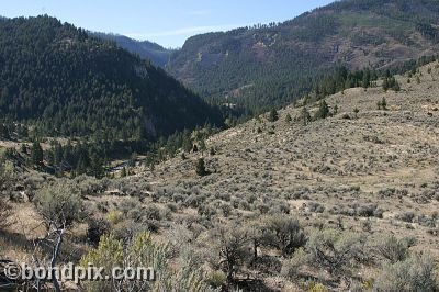 Yellowstone Park