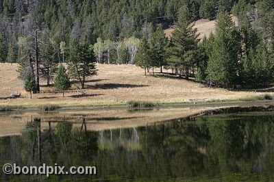 Yellowstone Park