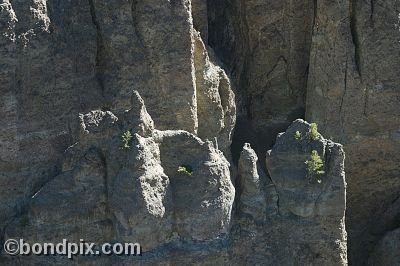 Rock formations in Yellowstone Park