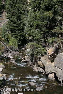 Yellowstone Park