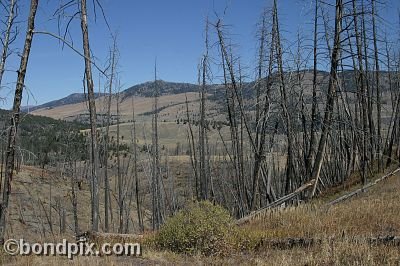 Yellowstone Park