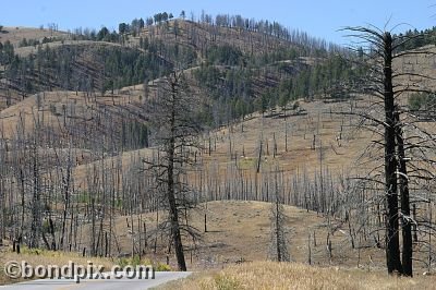 Yellowstone Park