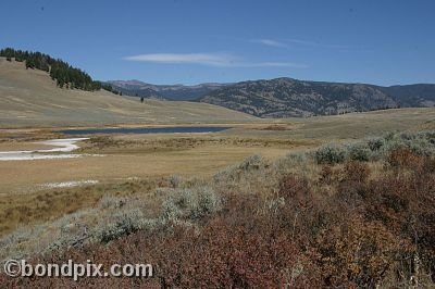 Yellowstone Park