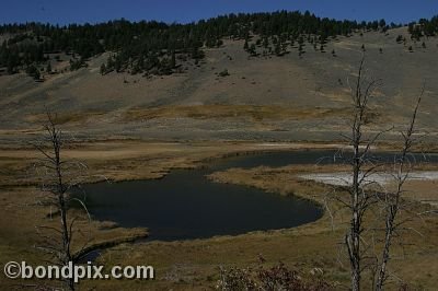 Yellowstone Park