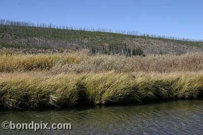 Yellowstone Park