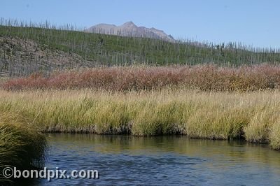 Yellowstone Park