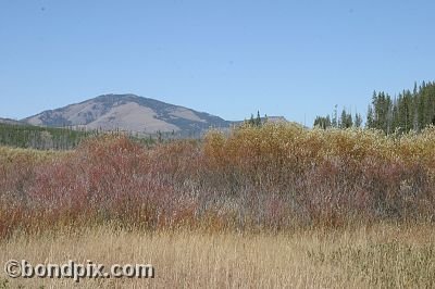 Yellowstone Park